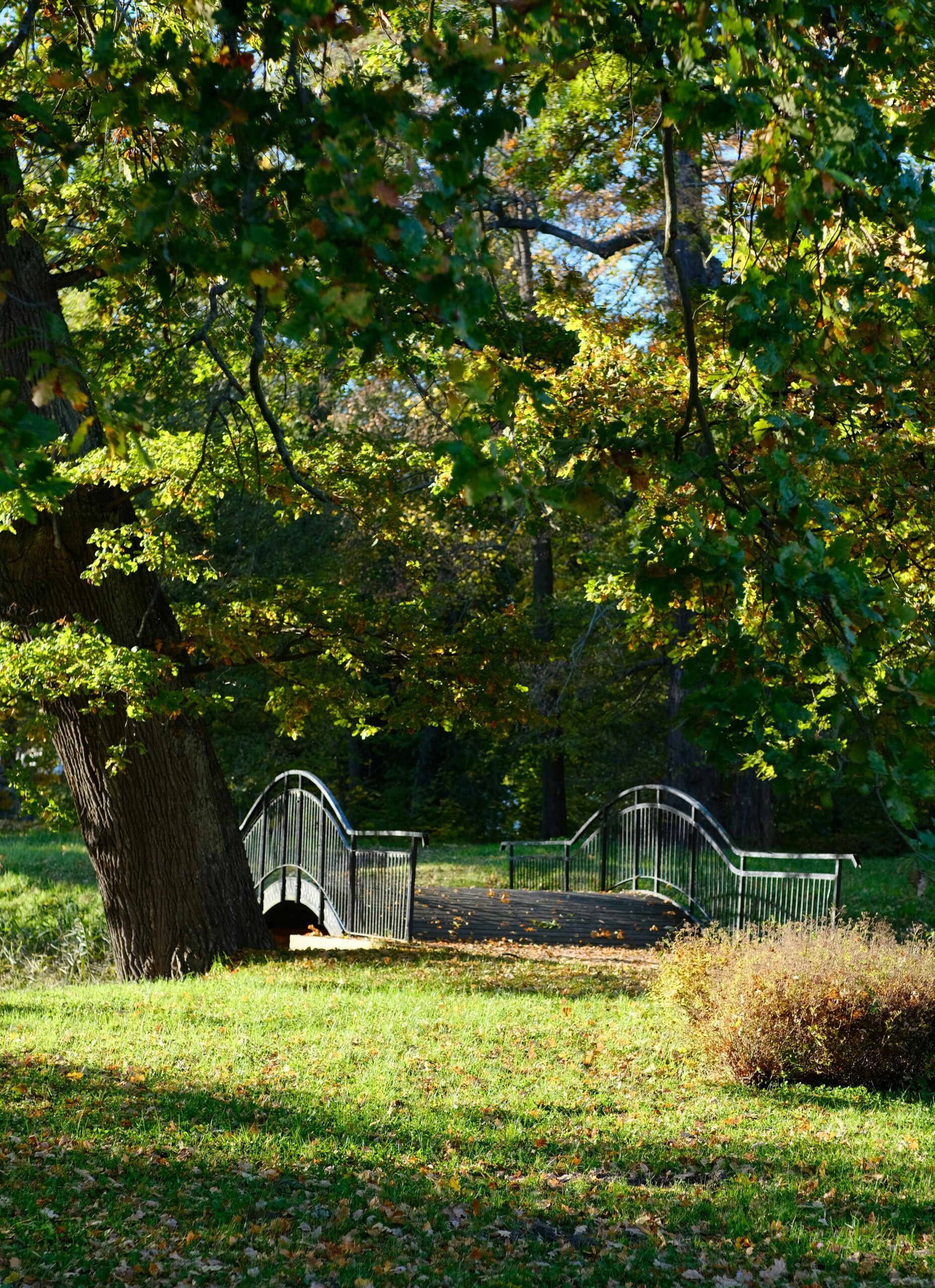 A serene iron bridge amidst lush greenery in a Polish park during fall.