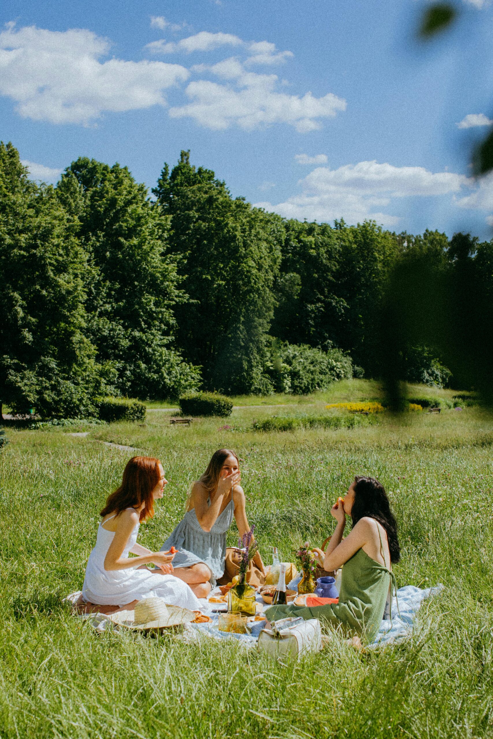 Three women enjoy a serene picnic in a sunny park with lush greenery.